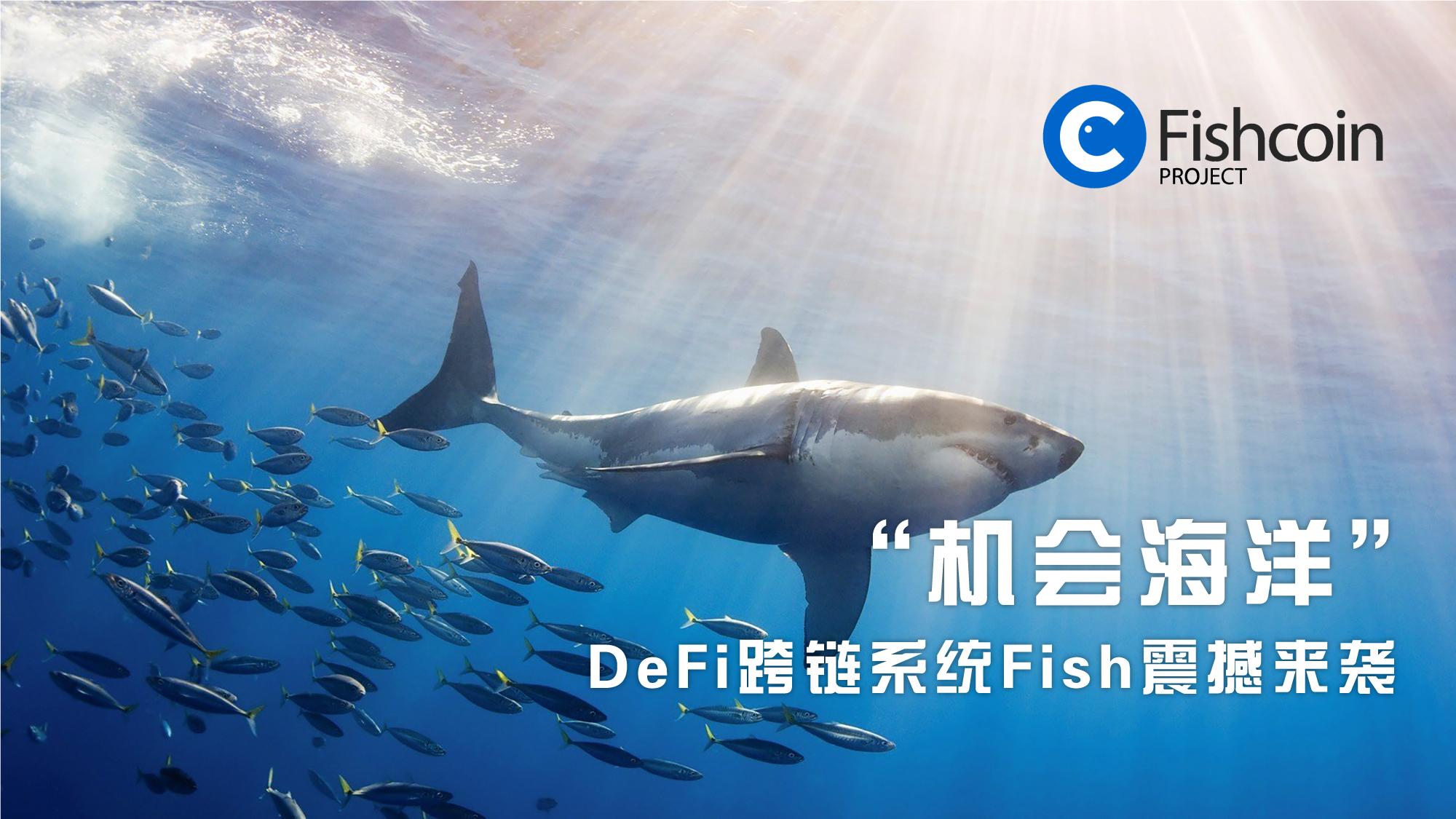 Trace Protocol :“机会海洋 前途似海”—DeFi跨链产品Fish入驻中国市场