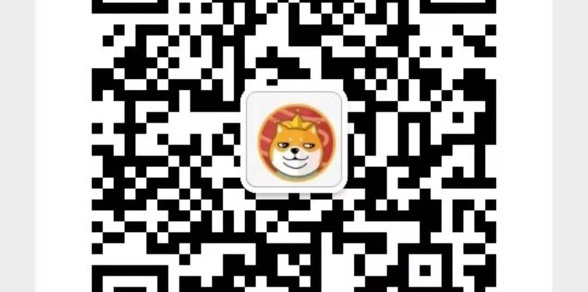 Dogk Chain 狗狗生态完美的答案